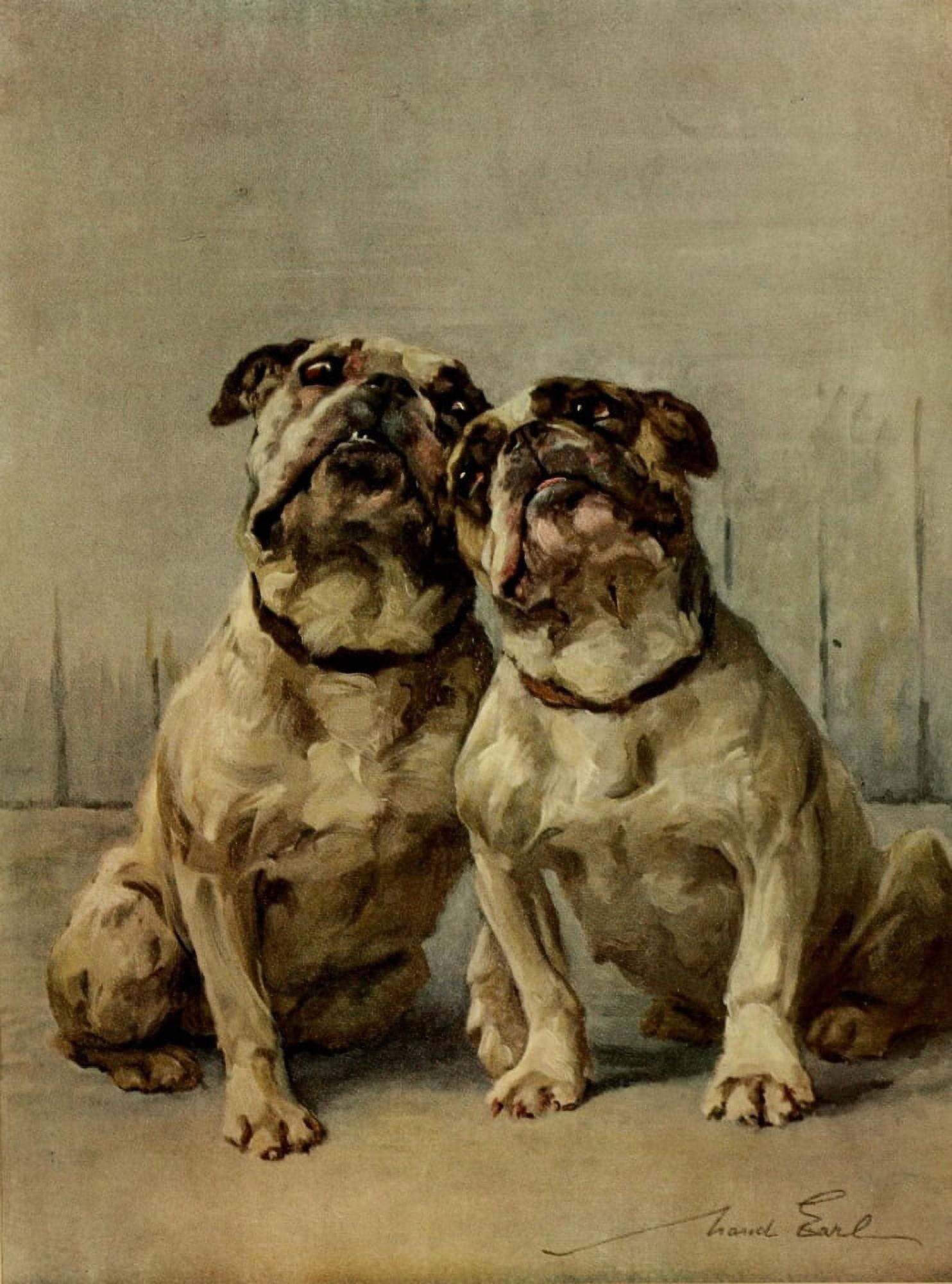 Power of the Dog 1910 Miniature Bulldog Canvas Art - Maud Earl (18 x 24)