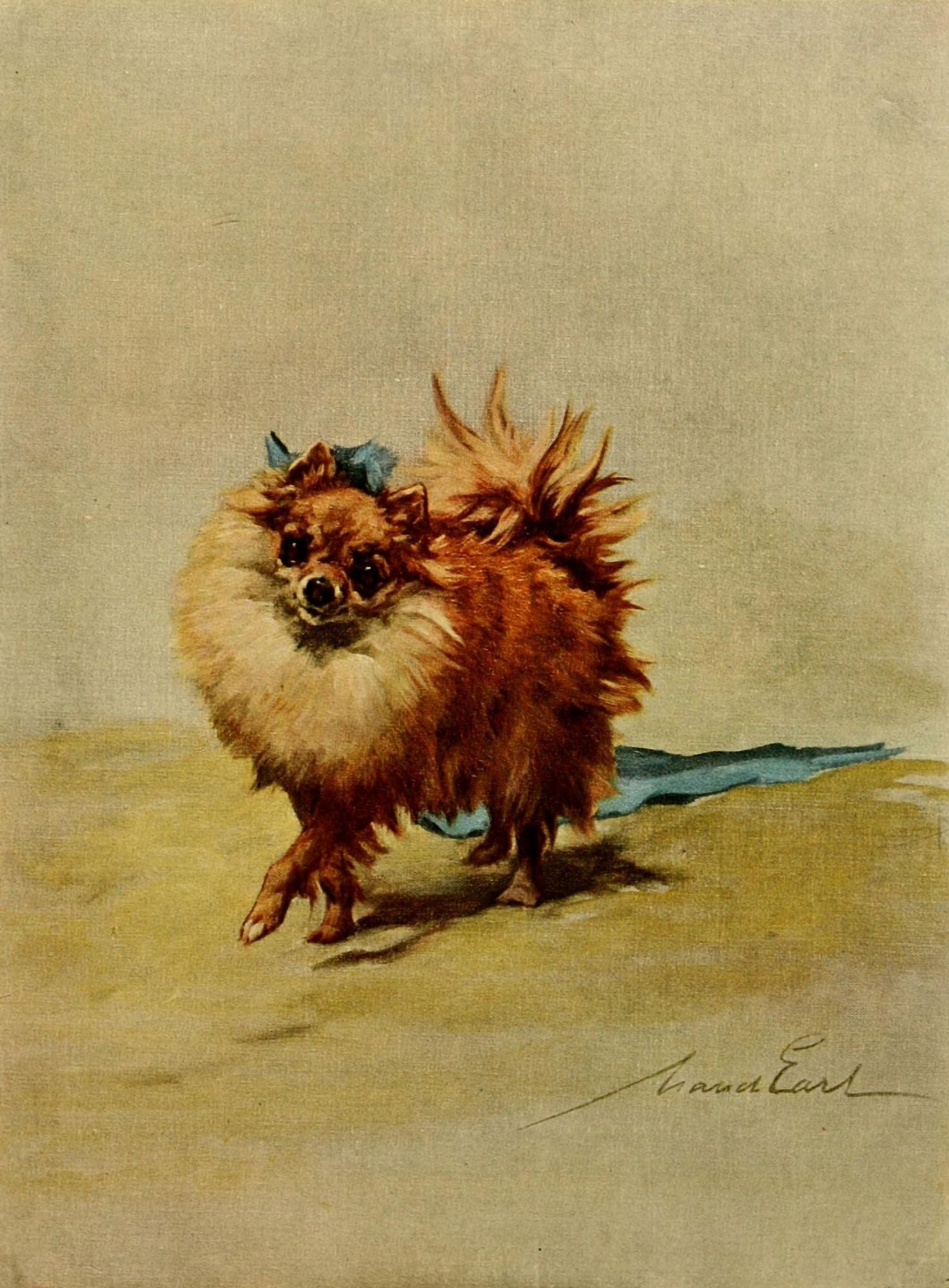 Power of the Dog 1910 Miniature Pomeranian Canvas Art - Maud Earl (18 x 24)