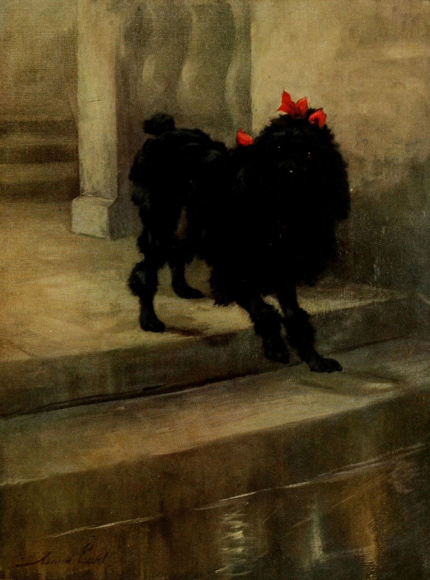 Power of the Dog 1910 Miniature Poodle Canvas Art - Maud Earl (24 x 36)