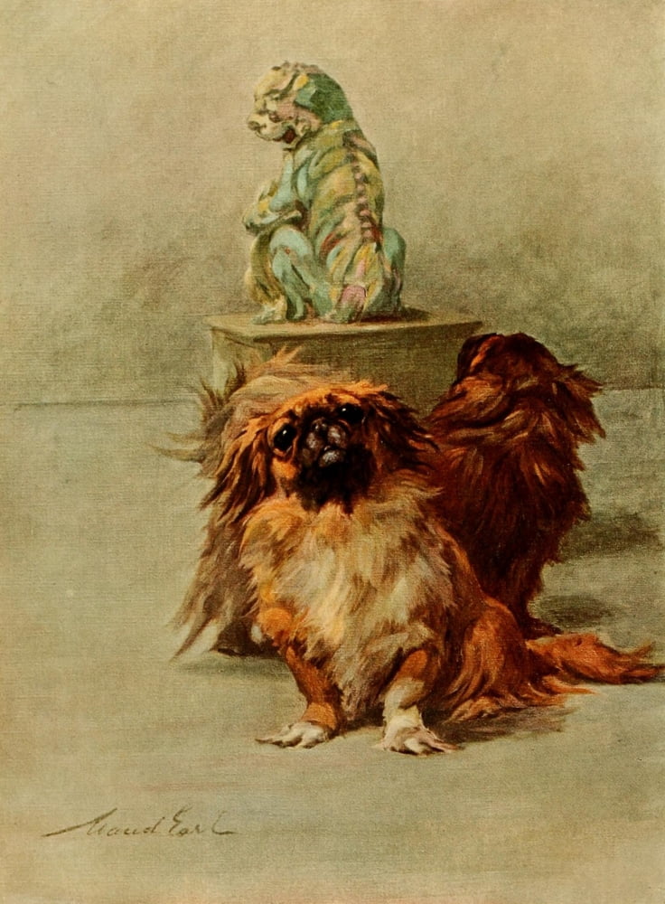 Power of the Dog 1910 Pekinese Canvas Art - Maud Earl (24 x 36)