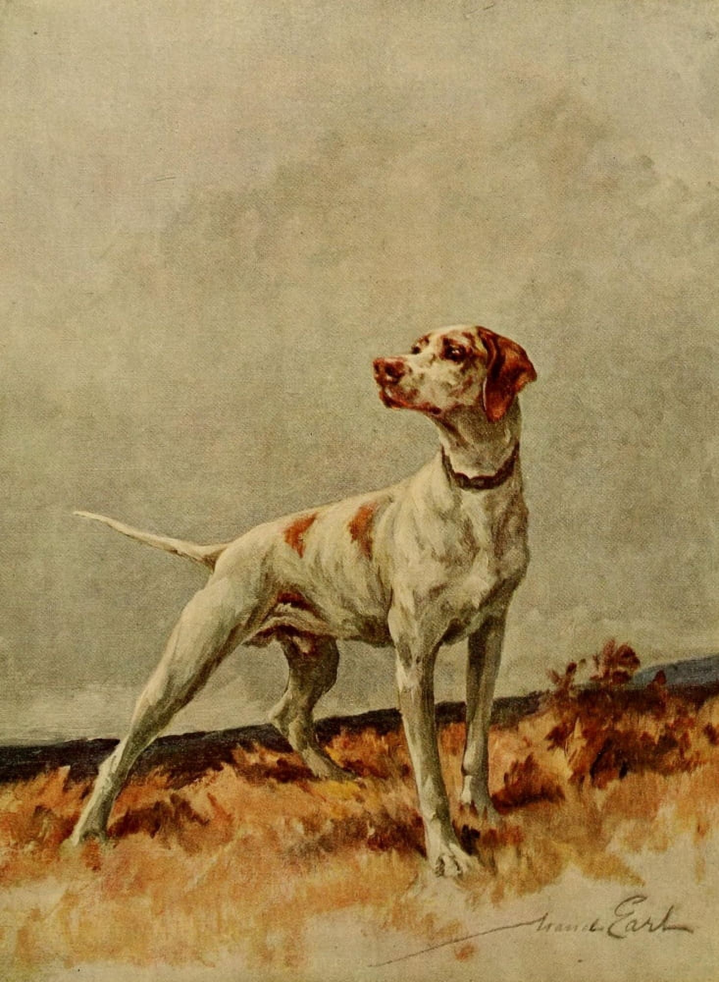 Power of the Dog 1910 Pointer Canvas Art - Maud Earl (24 x 36)