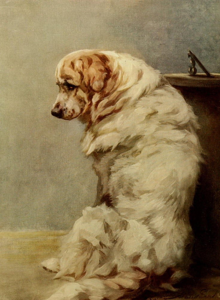 Power of the Dog 1910 Pyrenean Mountain Dog Canvas Art - Maud Earl (18 x 24)