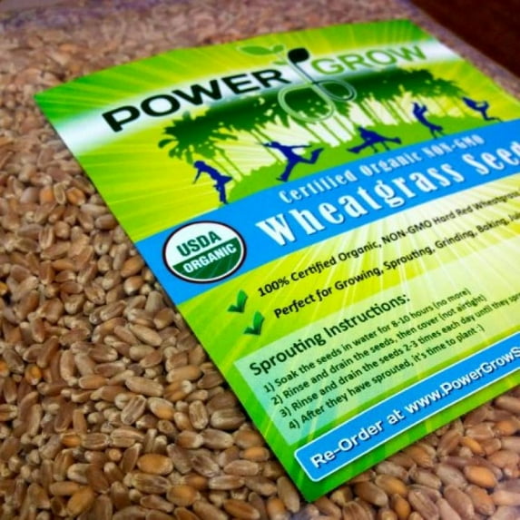 PowerGrow Systems Certified Organic Wheatgrass Seeds, 5 lb - Non-GMO, Guaranteed to Grow