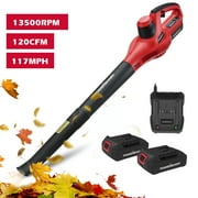 PowerSmart 20V Cordless Handheld Garden Leaf Blower with two 2.0Ah Batteries and Charger,PS76101A