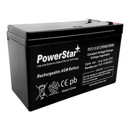 EverStart Lawn and Garden Lead Acid Battery Group Size U1P 12