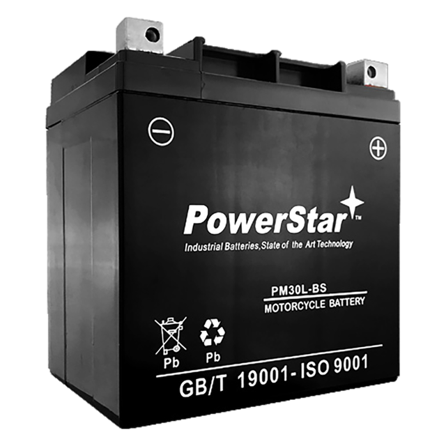 PowerStar 12V Heavy Duty Power Sports Battery, YIX30LBS Yuasa