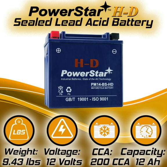 PowerStar H-D YTX14-BS Motorcycle Battery Compatible with Honda GL1500CF Valkyrie Interstate 2001 to 2001