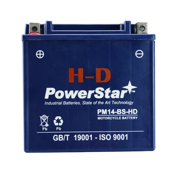 PowerStar H-D YTX14-BS UTV Battery Compatible with Honda SXS500M2 Pioneer 500 2015 to 2018