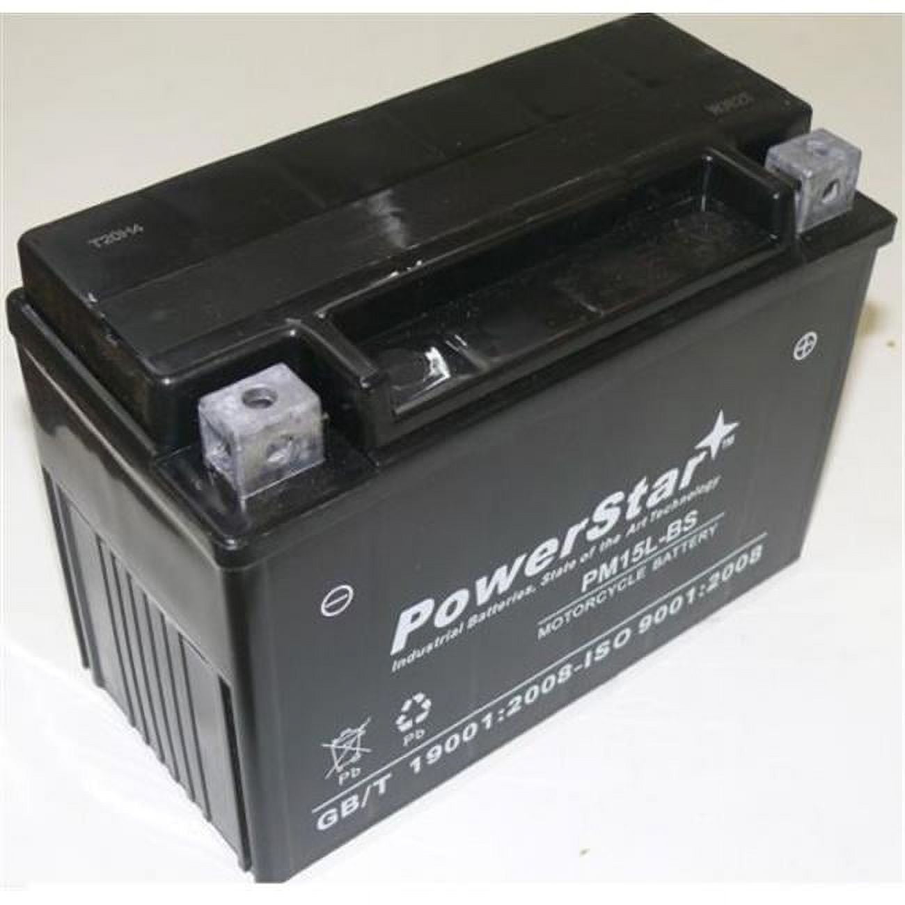 PowerStar PM15LBS Maintenance Free ATV Battery