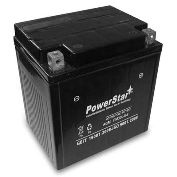 PowerStar PM30L-BS-10 YIX30-LBS Factory Activated Maintenance Free Battery