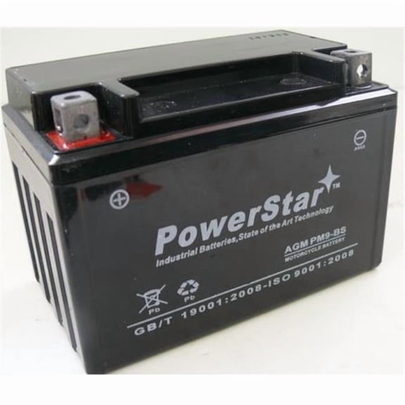 PowerStar PM9-BS-731 PM9-BS Battery Fits Interstate YTX9-BS