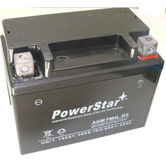PowerStar pm4lbs-6641 12V 3Ah PM4L-BS Battery Fits Aeon 100CC Cobra-CX-Sport