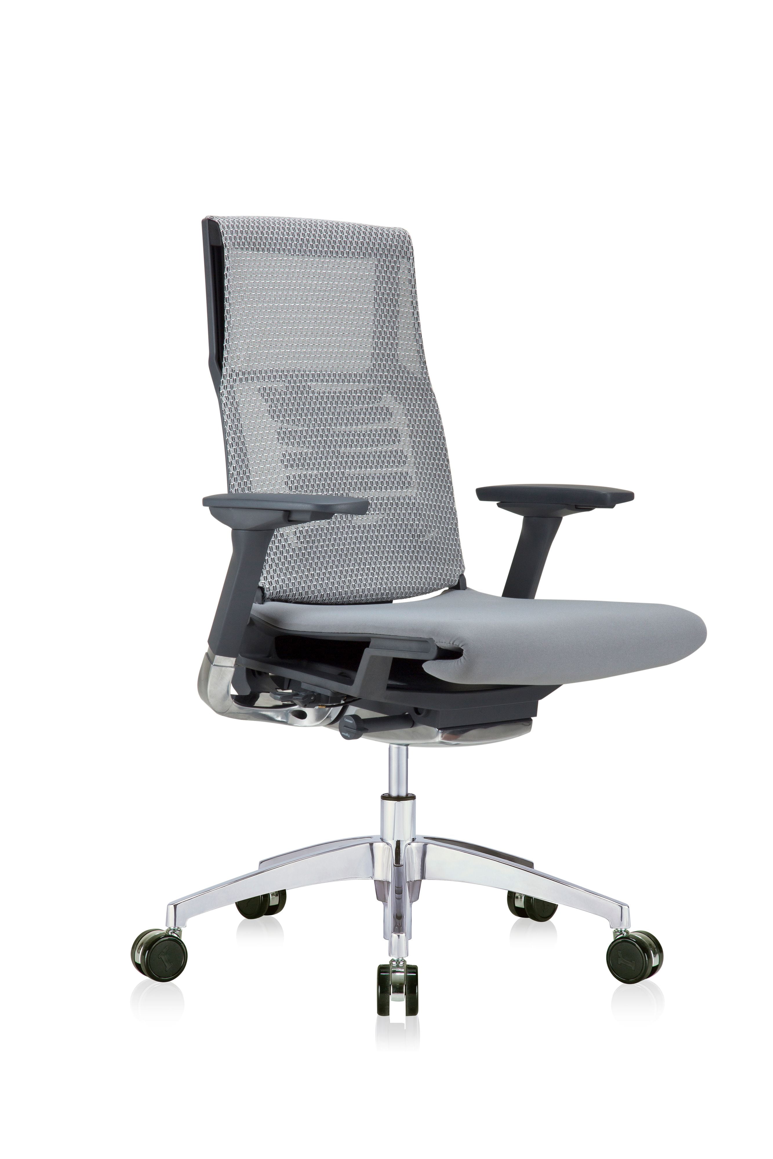 Bionic Spine High-Back Executive Swivel Chair in Gray/Black