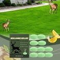 thumbnail image 1 of Powerful Deer & Rabbit Repllent Granules, Effective Deer And Rabbit Control for Garden , Poison-Free and Safe for Pets, Easy to Use for Pest Management（2Box /10 PCS）, 1 of 7