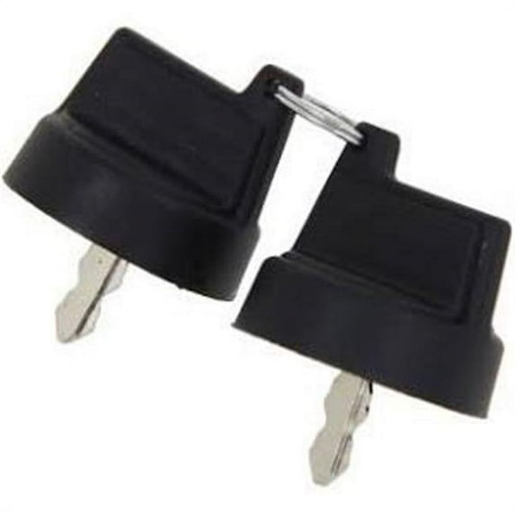 Powerhouse POW-69442 Ignition Keys - 2 Piece