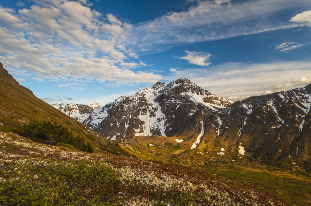 Powerline Pass Valley and the Powerline Trail in Chugach State Park Southcentral Alaska Canvas Art - Michael Jones  Design Pics (19 x 12)