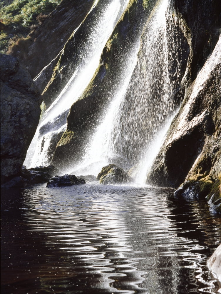 Powerscourt Waterfall Powerscourt Estate Co Wicklow Ireland Irelands Highest Waterfall Canvas Art - The Irish Image Collection Design Pics (26 x 34)
