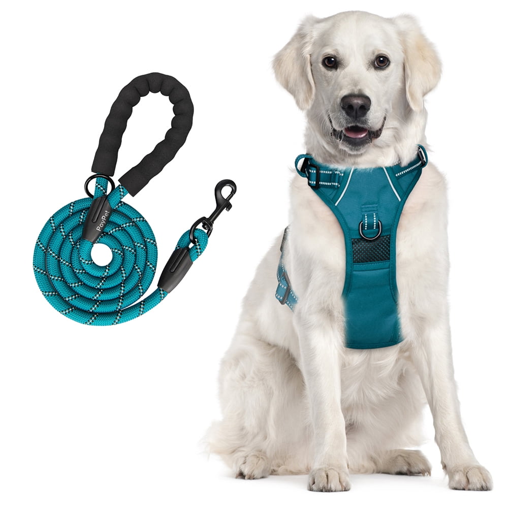 Poy pet harness deals