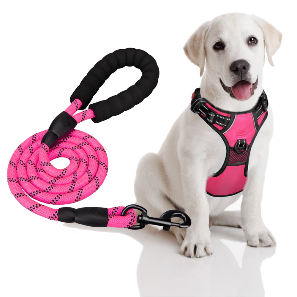 Reflective dog sale harness and leash
