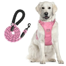 Dog leads at walmart sales