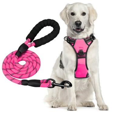 PoyPet Dog Harness and Leash Combo, Escape Proof No Pull Vest Harness, Reflective Adjustable Soft Padded Pet Harness with Handle for Small to Large Dogs