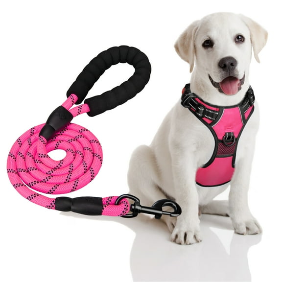 PoyPet Dog Harness and Leash Combo, Escape Proof No Pull Vest Harness, Reflective Adjustable Soft Padded Pet Harness with Handle for Small to Large Dogs