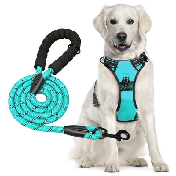 PoyPet Dog Harness and Leash Combo, Escape Proof No Pull Vest Harness, Reflective Adjustable Soft Padded Pet Harness with Handle for Small to Large Dogs