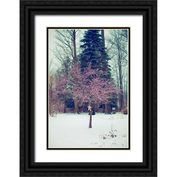 Poynter, Kelly 17x24 Black Ornate Wood Framed with Double Matting Museum Art Print Titled - Winter Berries III