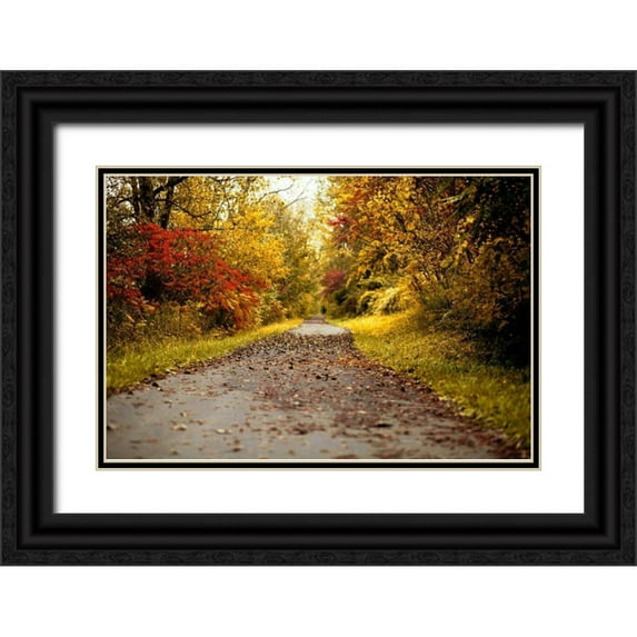 Poynter, Kelly 24x17 Black Ornate Wood Framed with Double Matting Museum Art Print Titled - Quiet Autumn Path