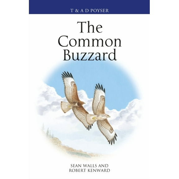 Poyser Monographs: The Common Buzzard (Paperback)