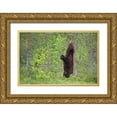 thumbnail image 1 of Pozzi, Marco 14x11 Gold Ornate Wood Framed with Double Matting Museum Art Print Titled - Scratching, 1 of 4