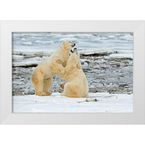 Pozzi, Marco 18x13 White Modern Wood Framed Museum Art Print Titled - Big Boys