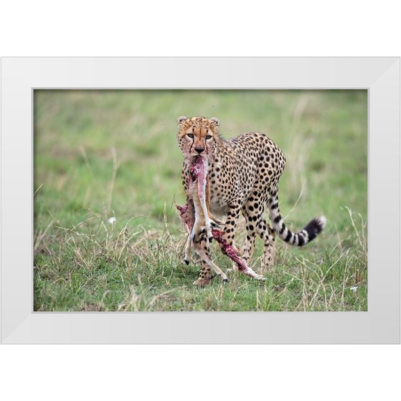 Pozzi, Marco 24x17 White Modern Wood Framed Museum Art Print Titled - Kill