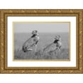 thumbnail image 1 of Pozzi, Marco 32x23 Gold Ornate Wood Framed with Double Matting Museum Art Print Titled - Whats Going On Here Around?, 1 of 4