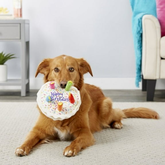 PpgejGEK Birthday Cake Plush Happy Birthday Plush Birthday Stuffed Animal Birthday Dog Toy Dog Cat Birthday Cake Gift Sound Fun Toy Dog Plush Toy