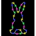 thumbnail image 1 of WWG Easter Bunny LED Window Light Decoration with Remote Control and Timer, 8 Lighting Modes Battery Operated Waterproof Hanging Lights for Indoor and Outdoor Holiday Decor, 1 of 4