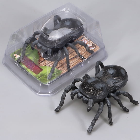 PpgejGEK Simulation Winding Chain Children's Toy Crawling Motion Insect Model Realistic Spider Cockroach Beetle Plastic Wind Up Toy (3.93x3.14x1.57in) Brown Blue Gray No Battery