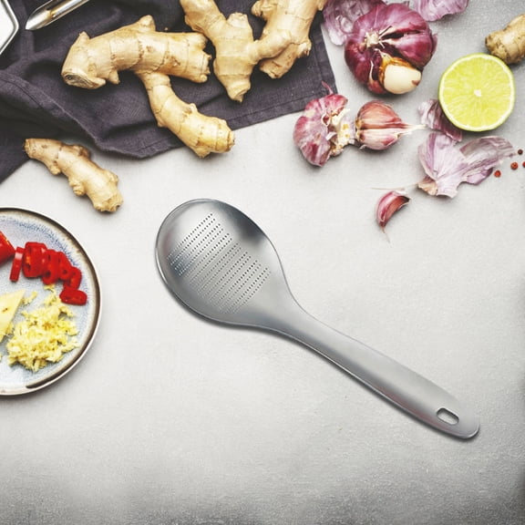 WWG Stainless Steel Ginger Grater Tool Spoon-Shaped Fine Grinding Surface for Garlic Nutmeg Fruit Kitchen Gadget Rust-Resistant Easy Clean