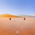 thumbnail image 1 of Praana - Insight Out - Music & Performance - Vinyl, 1 of 1