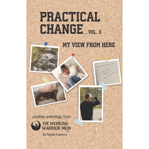 Practical Change...Vol. 3 : My View from Here (Paperback)