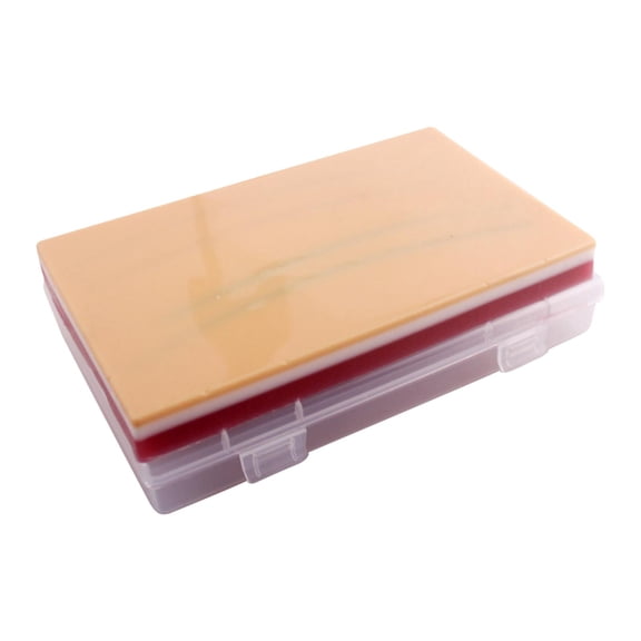 Practical Educational with Vessels Model Venipuncture IV Training Pad for Training Tool