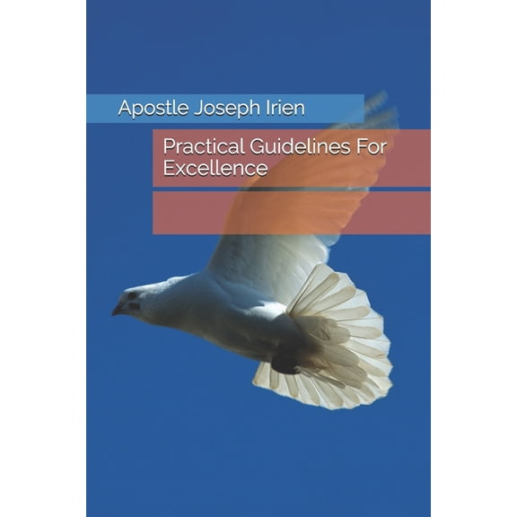 Practical Guidelines For Excellence (Paperback)