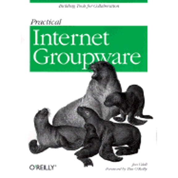 Pre-Owned Practical Internet Groupware (Paperback) 1565925378 9781565925373