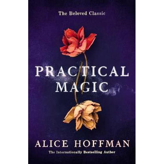 Pre-Owned Practical Magic (Paperback)