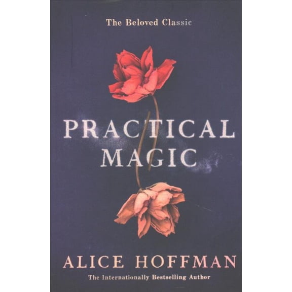Pre-Owned Practical Magic (Paperback)