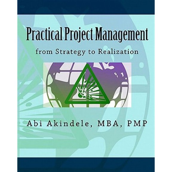 Practical Project Management: from Strategy to Realization (Paperback)