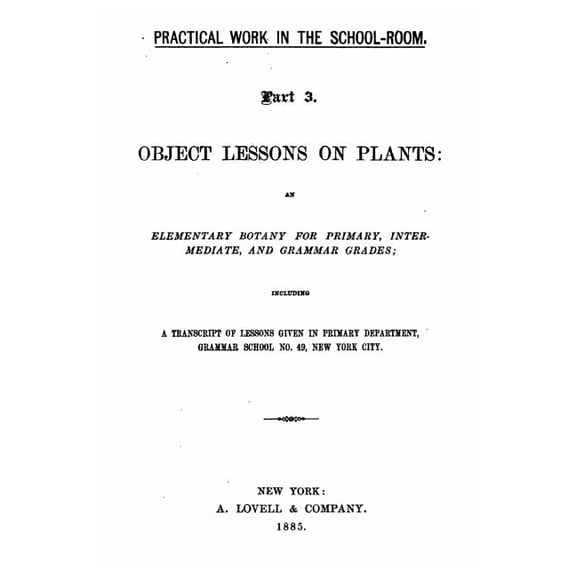 Practical Work in the School Room, Given in Primary Department, Grammar School No. 49, New York City (Paperback)