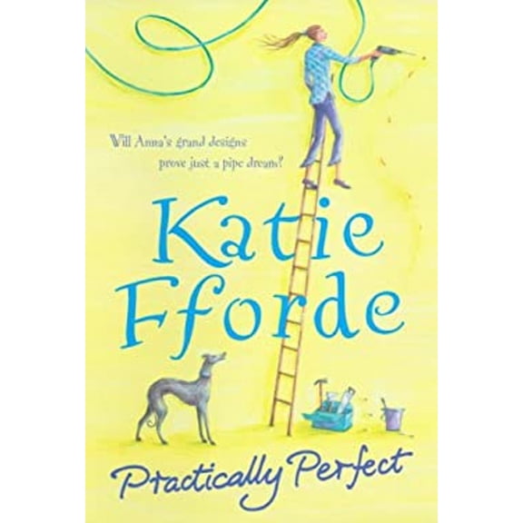 Pre-Owned Practically Perfect (Hardcover) 9781844136742