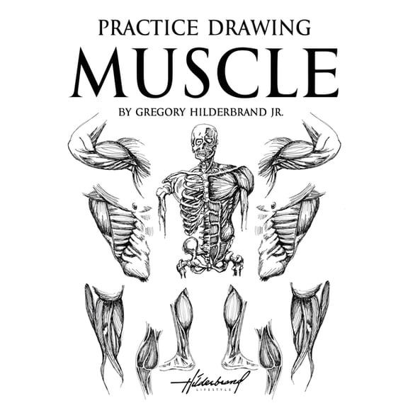Practice Drawing Muscles, (Paperback)