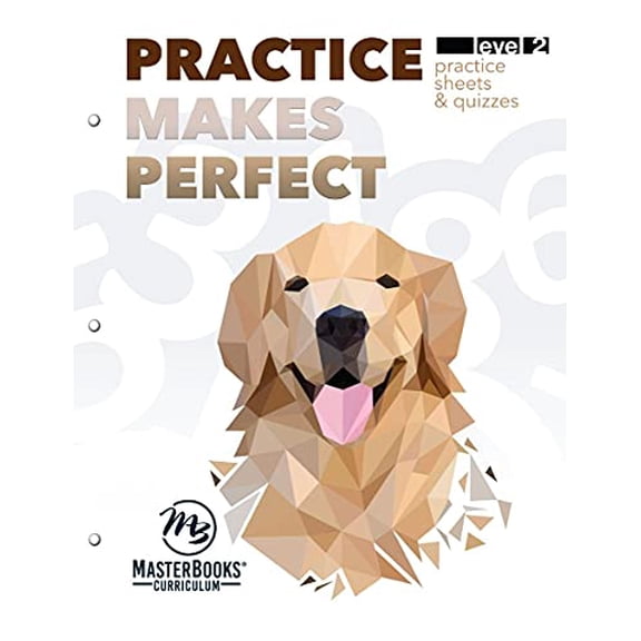 Pre-Owned Practice Makes Perfect Level 2 (Paperback)
